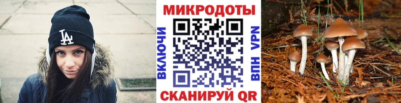 Галлюциногенные грибы прущие грибы  закладка  Славянск-на-Кубани 